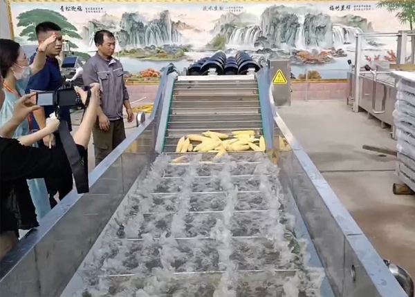 玉米加工流水线